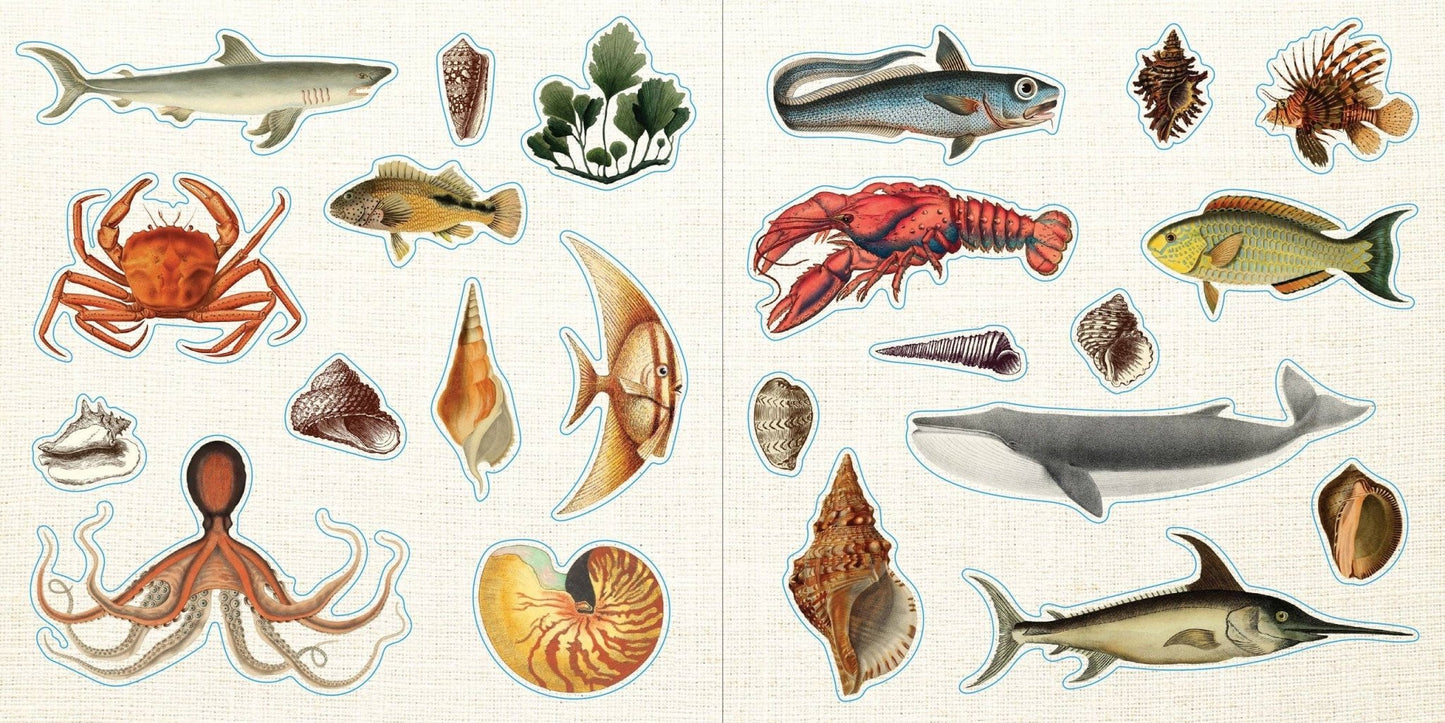 Loads of Ephemera Sticker Book (580 stickers) - The Regal Find