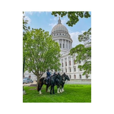 Mounted Police at Capitol - The Regal Find