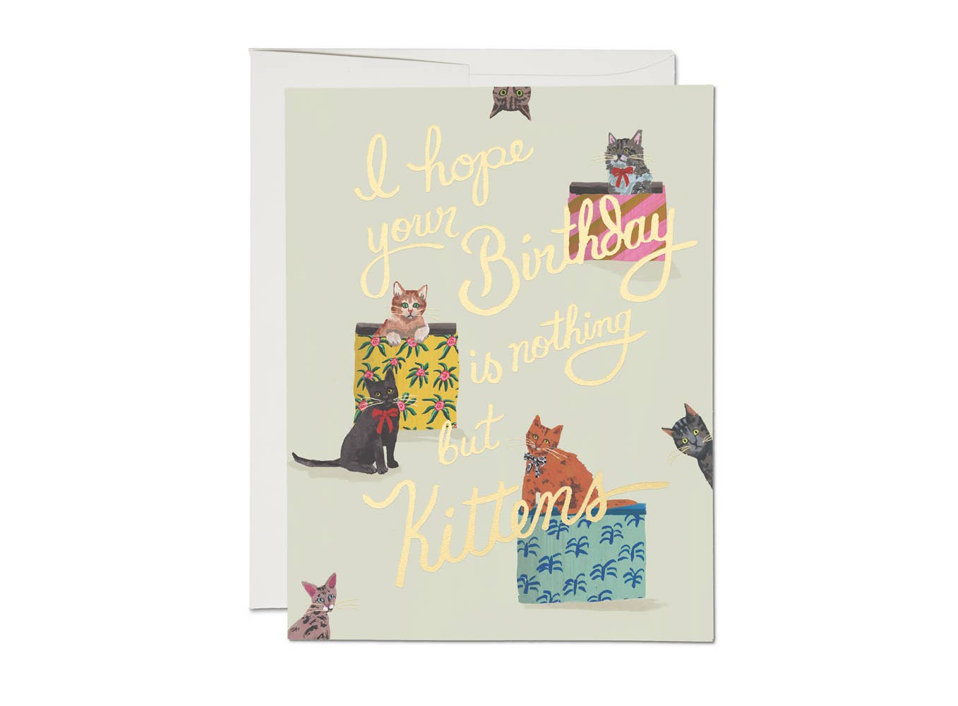 Nothing But Kittens birthday greeting card - The Regal Find