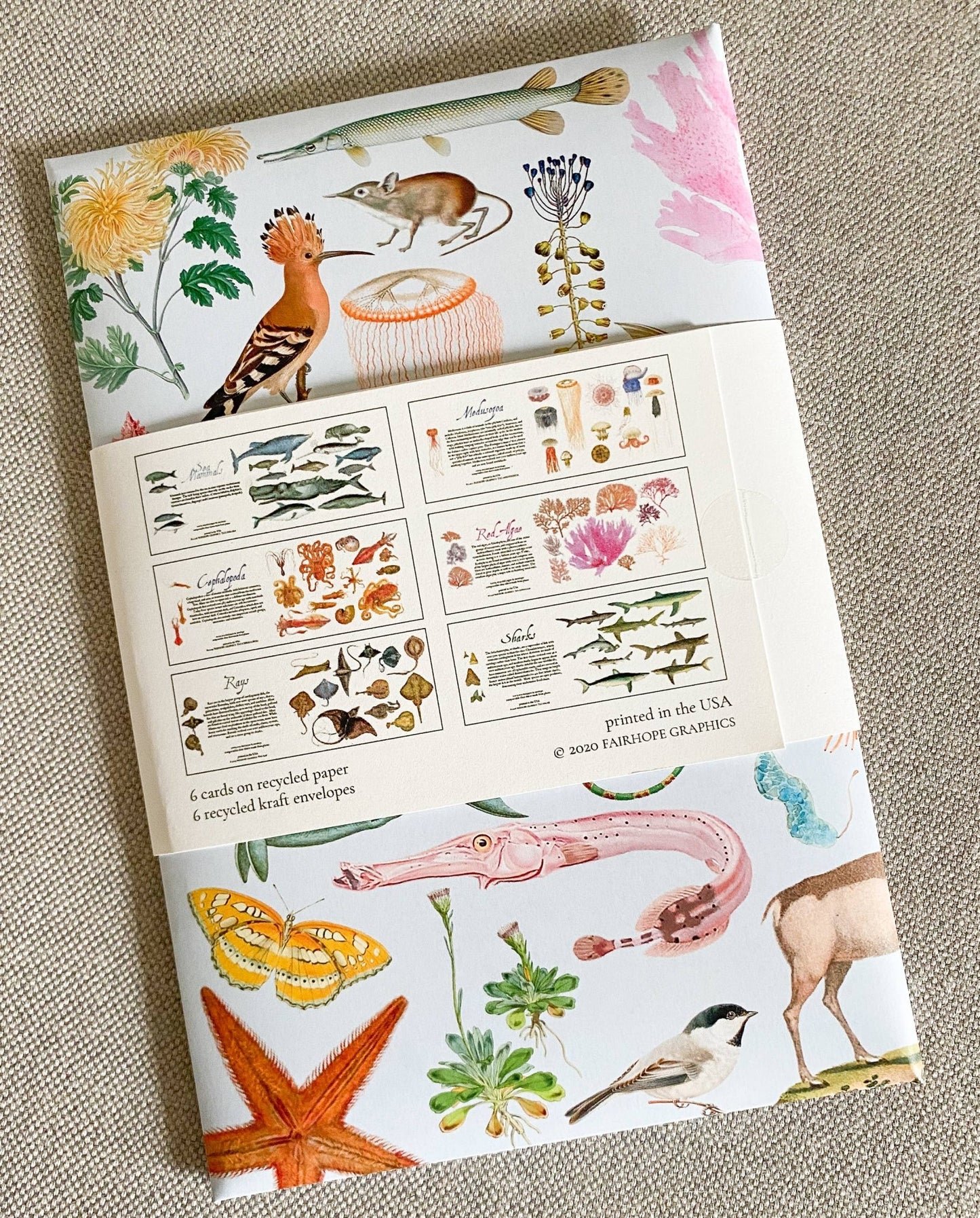 Ocean Card Pack - The Regal Find