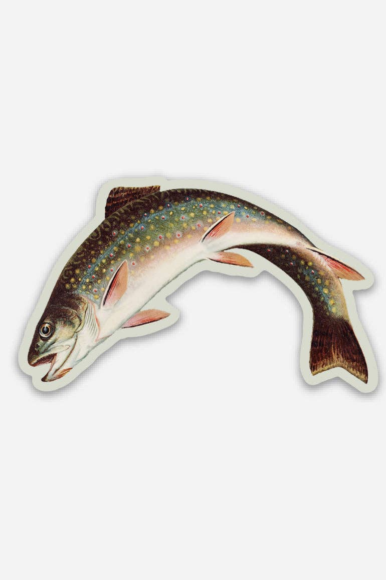 Scandalized Rainbow Trout - Gap Filler Sticker - The Regal Find