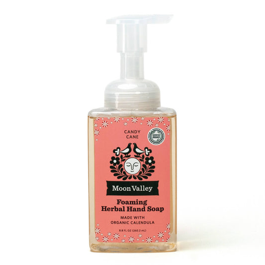 Seasonal Foaming Hand Soap - Candy Cane - The Regal Find