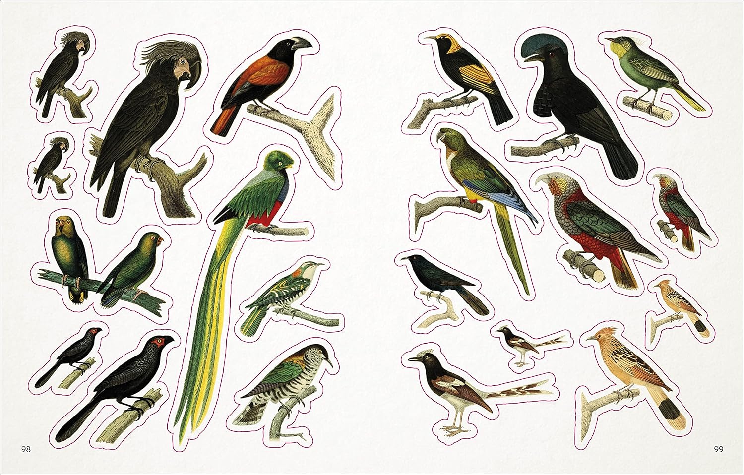 The Bees, Birds & Butterflies Sticker Anthology - The Regal Find