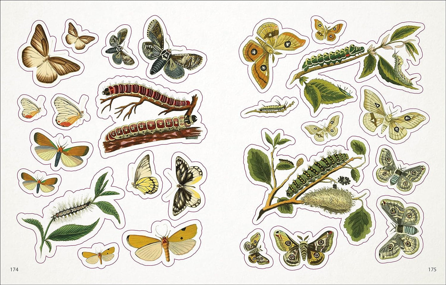 The Bees, Birds & Butterflies Sticker Anthology - The Regal Find