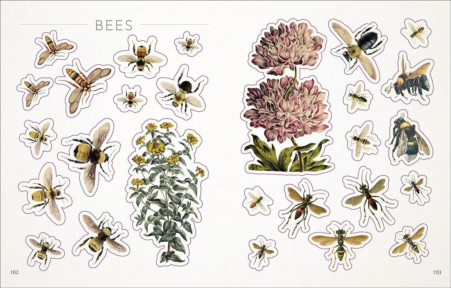 The Bees, Birds & Butterflies Sticker Anthology - The Regal Find