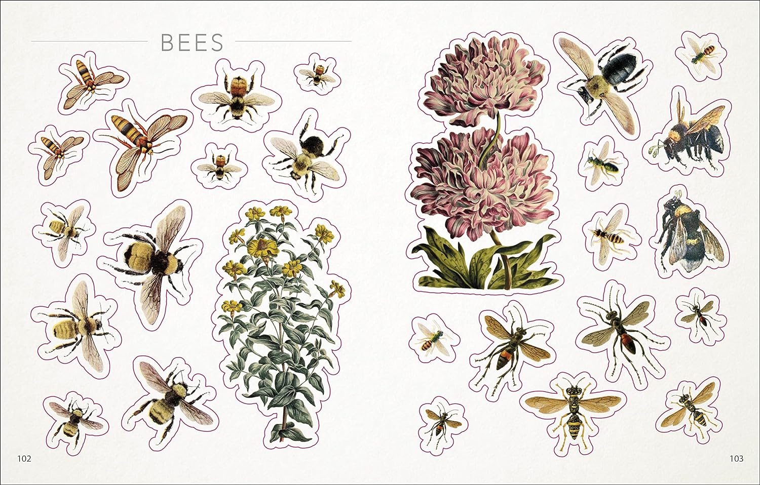 The Bees, Birds & Butterflies Sticker Anthology - The Regal Find