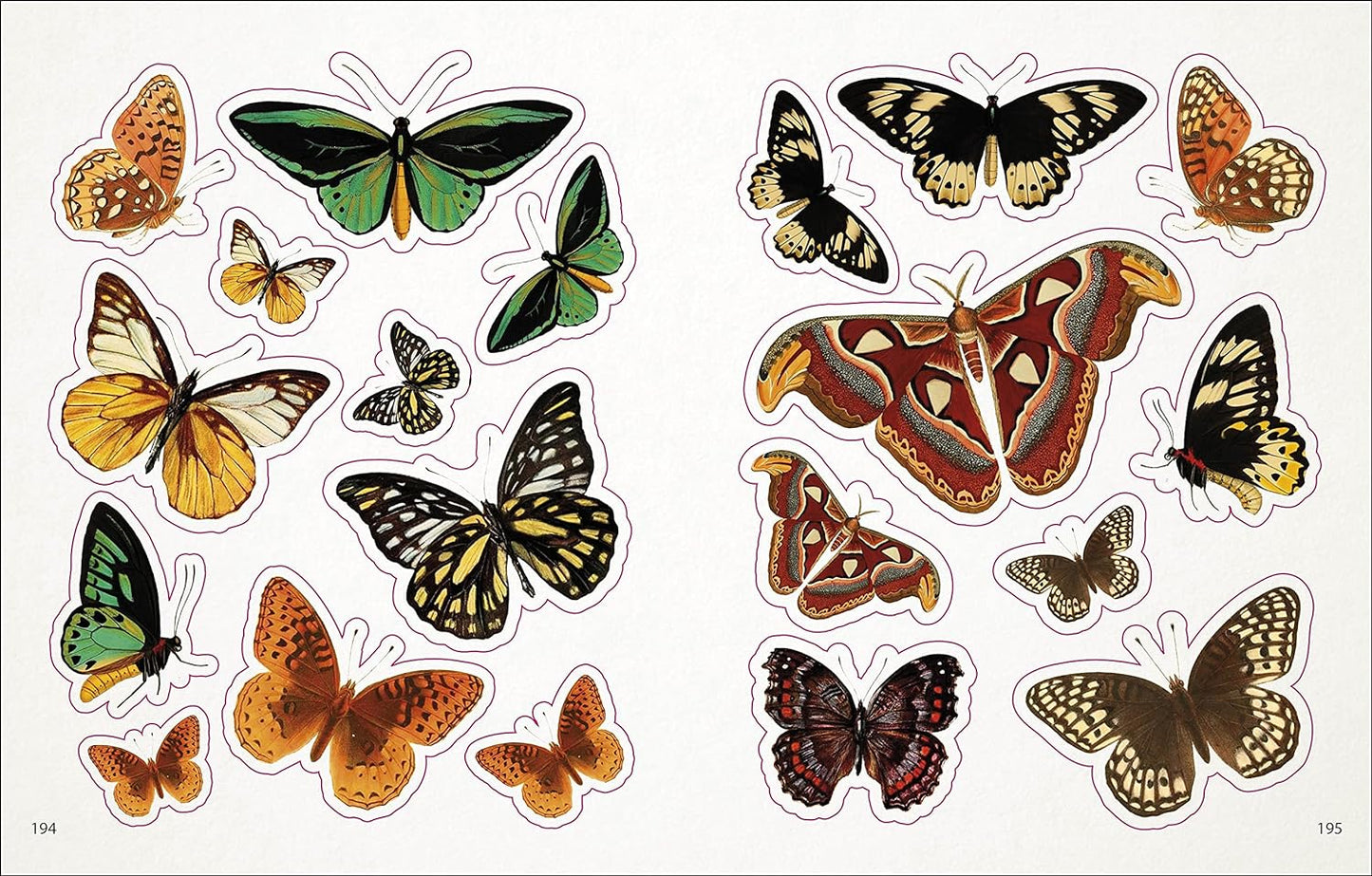 The Bees, Birds & Butterflies Sticker Anthology - The Regal Find