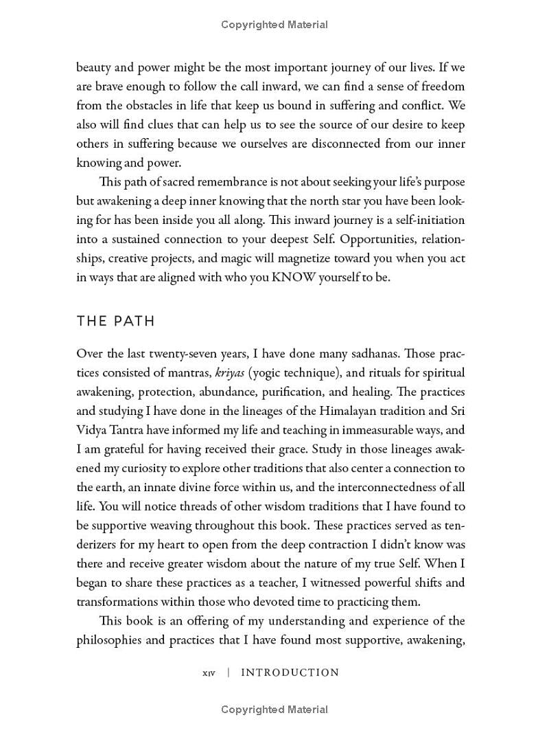 The Luminous Self Book - The Regal Find