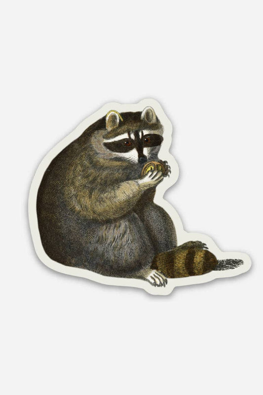 Unbothered Raccoon - Gap Filler Sticker - The Regal Find