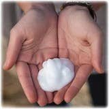 Unscented Foaming Herbal Hand Soap Concentrate - The Regal Find