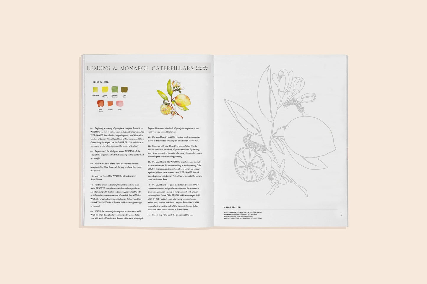 Watercolor Workbook 2 - The Regal Find