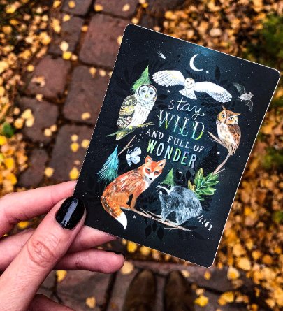 Wild Wonder - Matte Sticker - The Regal Find