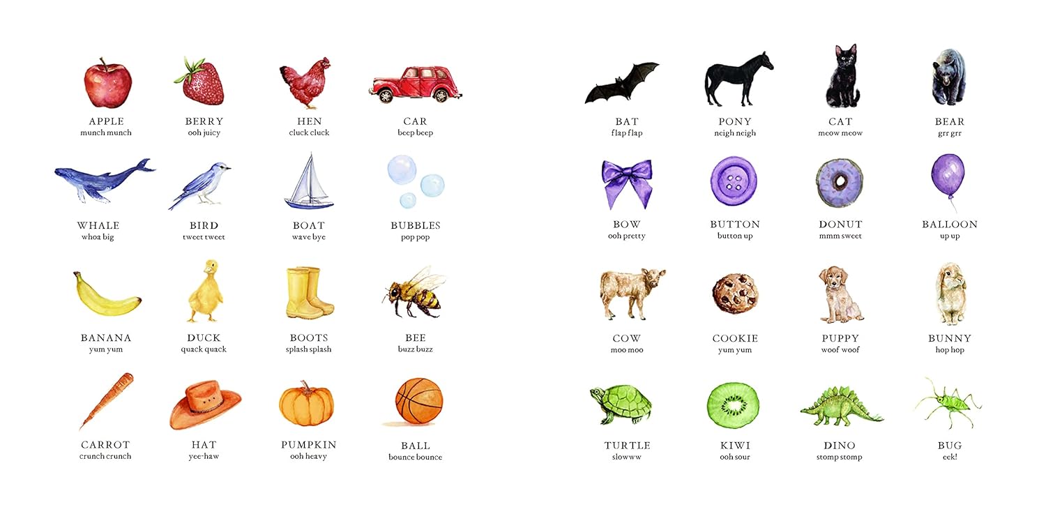 Wishy Washy: A Board Book of First Words and Colors for Growing Minds - The Regal Find