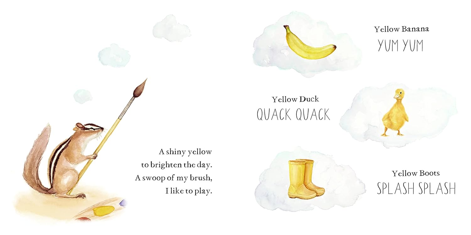 Wishy Washy: A Board Book of First Words and Colors for Growing Minds - The Regal Find