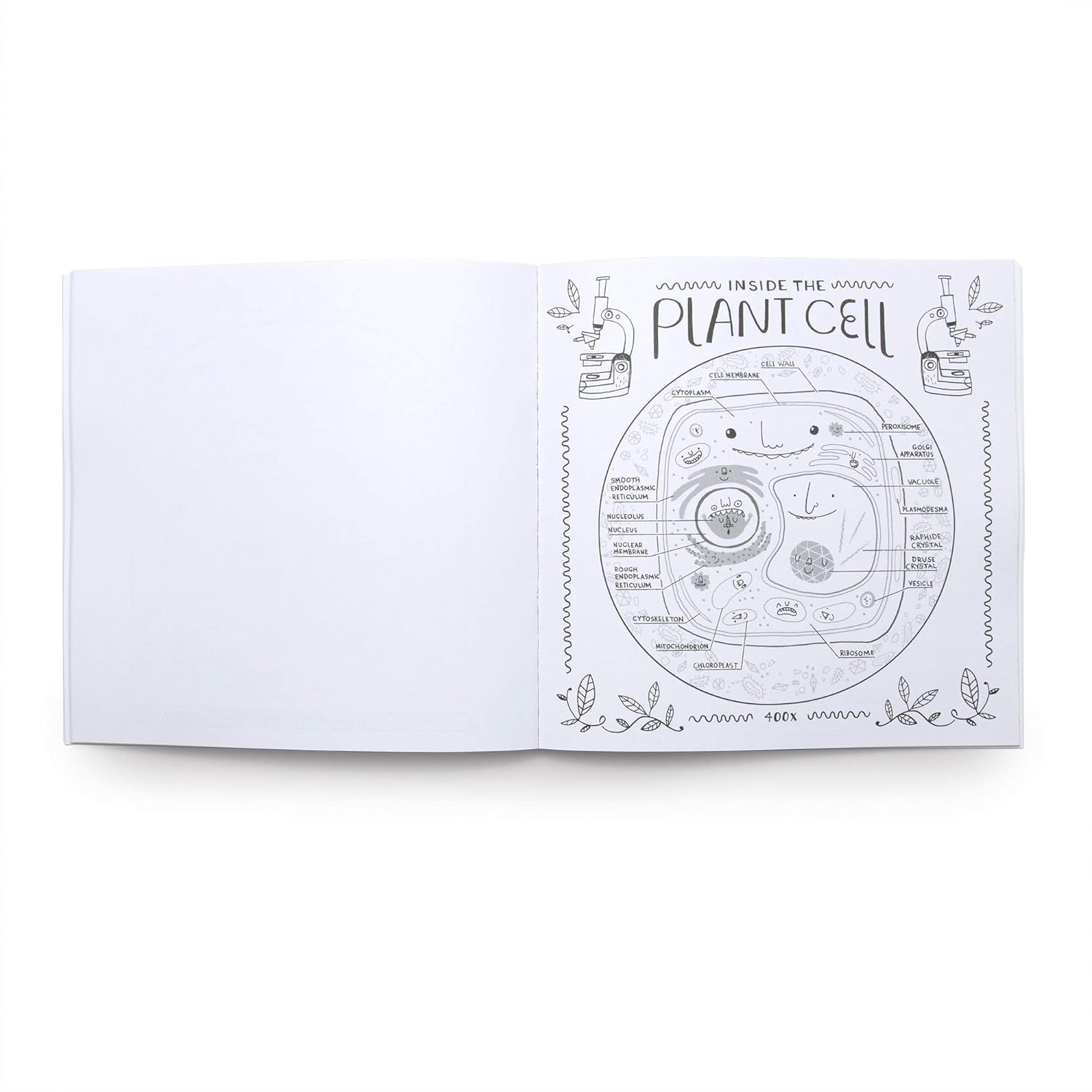 Wondrous Workings of Science and Nature Coloring Book - The Regal Find