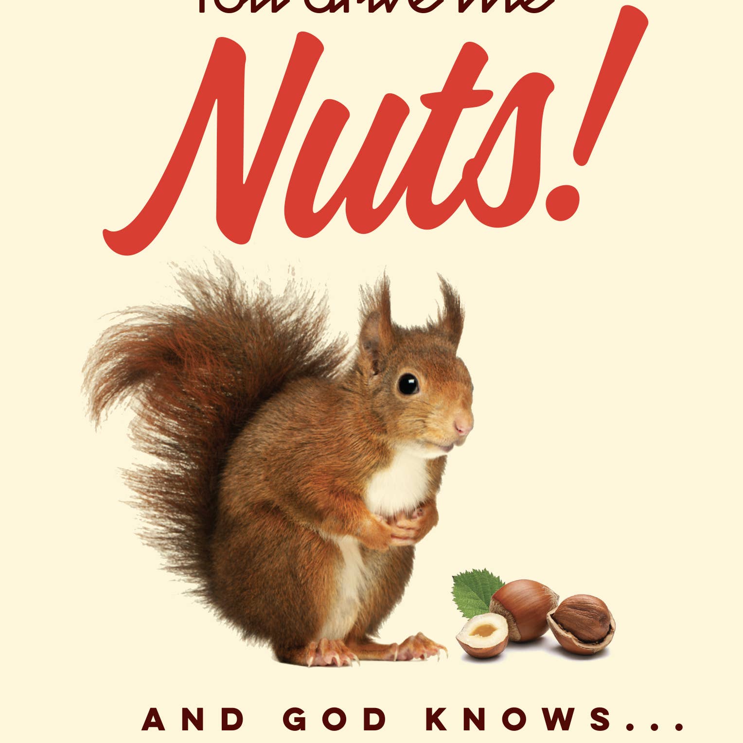 You Drive Me Nuts! - The Regal Find