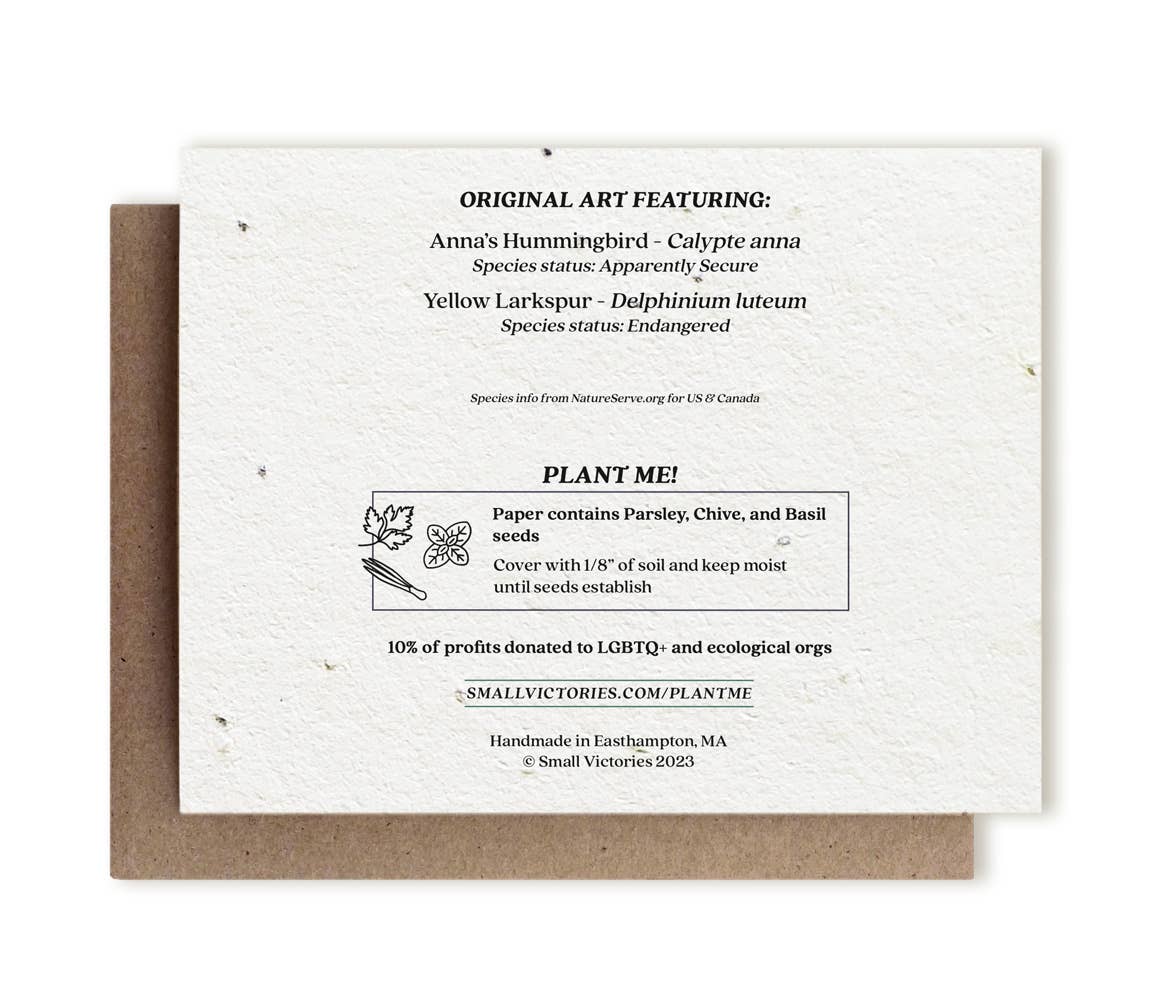 Anna's Hummingbird & Yellow Larkspur Plantable Herb Card: No Sleeves - The Regal Find