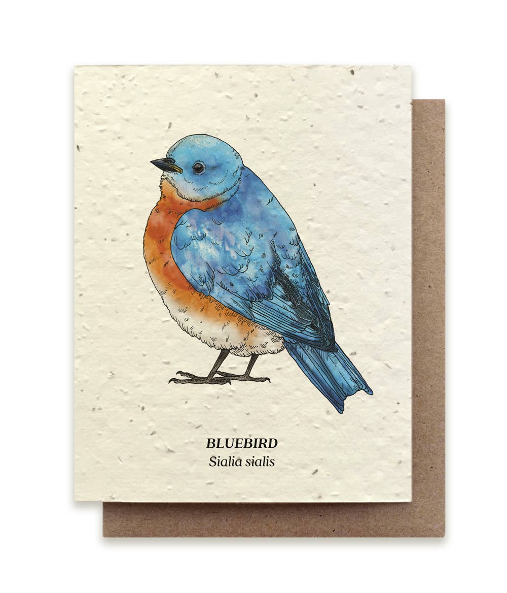 Bluebird Plantable Wildflower Seed Card: No Sleeves - The Regal Find