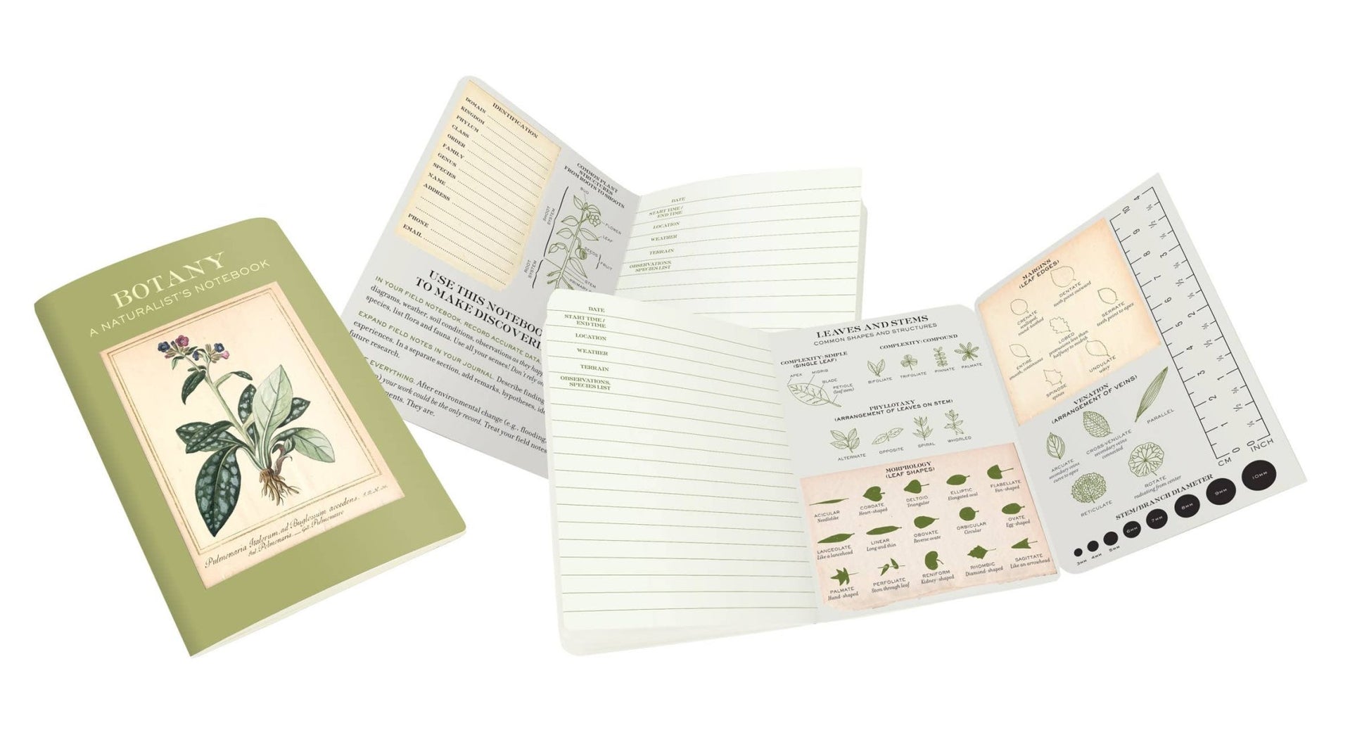 Botany Naturalist's Notebook - The Regal Find