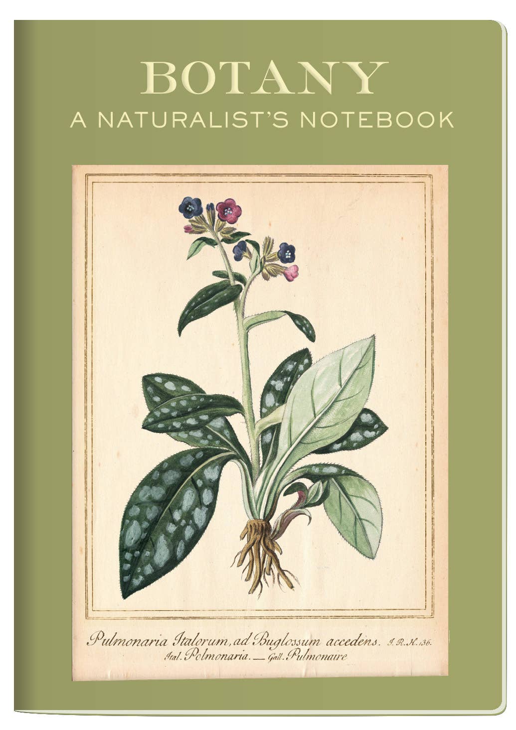 Botany Naturalist's Notebook - The Regal Find