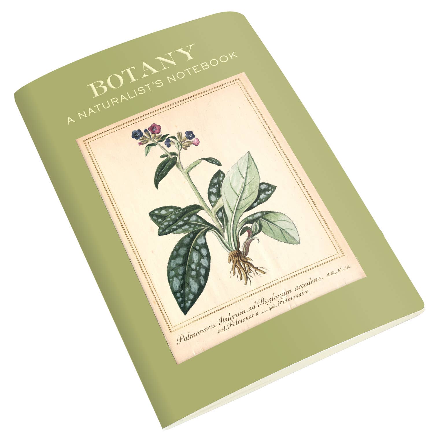 Botany Naturalist's Notebook - The Regal Find
