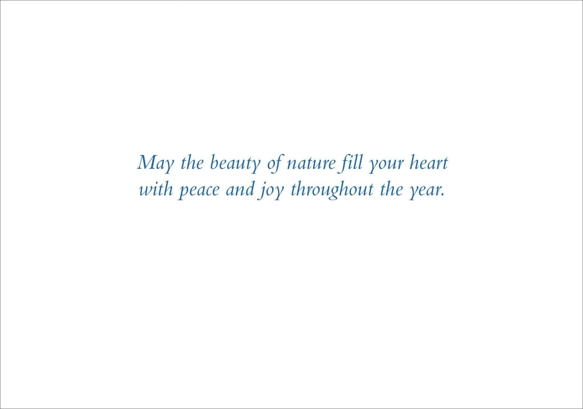 Festive Polar Bear Deluxe Boxed Holiday Cards - The Regal Find