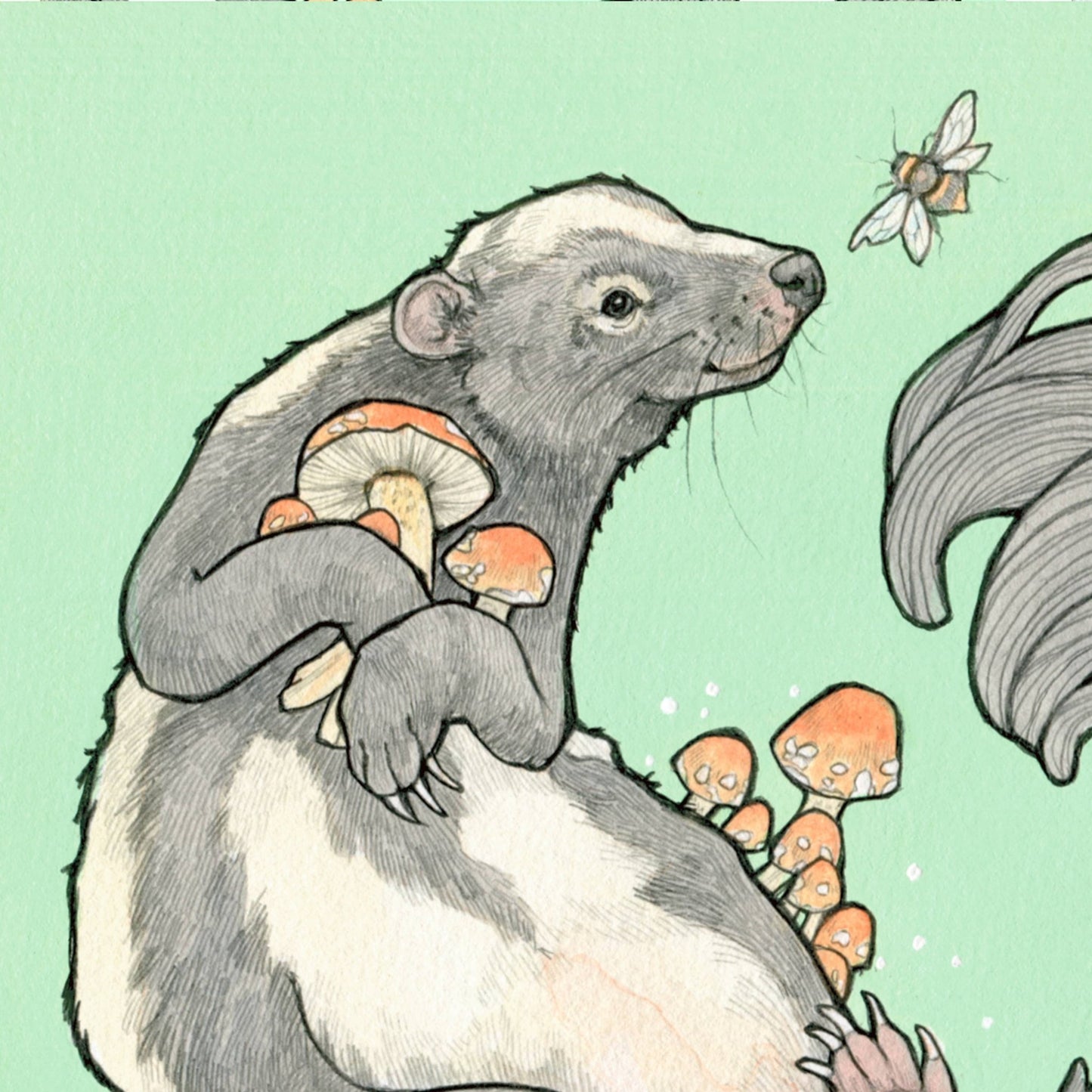 Forager - skunk and mushroom - 8x8 " Archival Print - The Regal Find