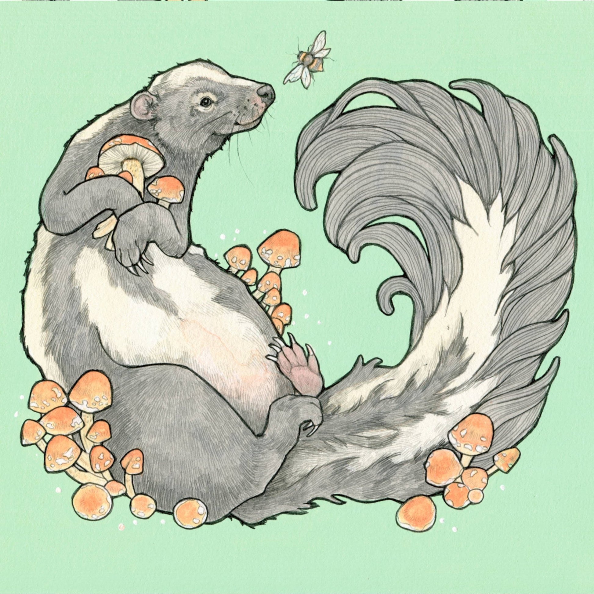 Forager - skunk and mushroom - 8x8 " Archival Print - The Regal Find