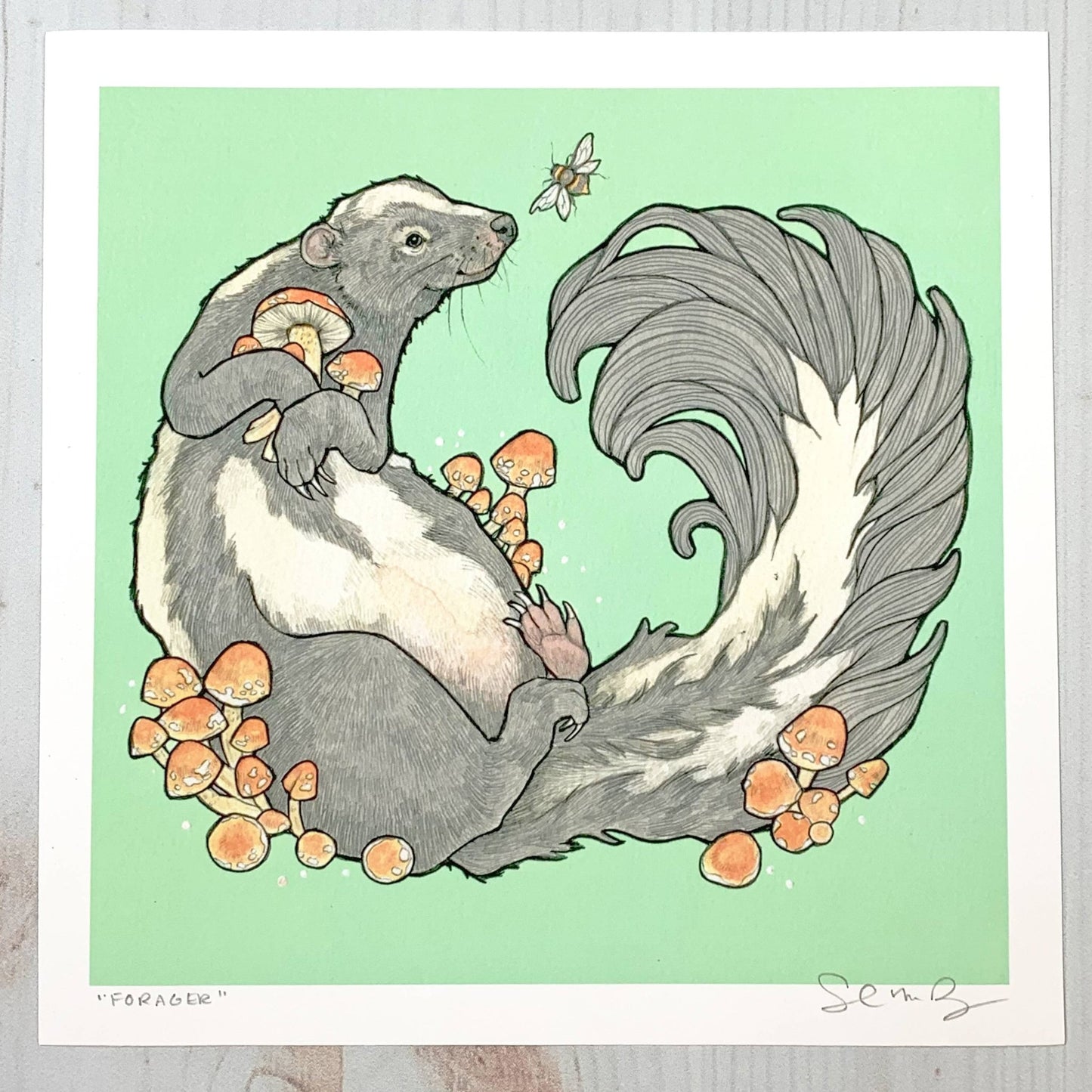 Forager - skunk and mushroom - 8x8 " Archival Print - The Regal Find