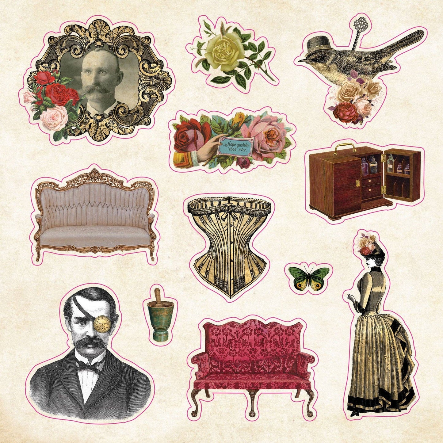 The Sticker Book of Curiosities - The Regal Find