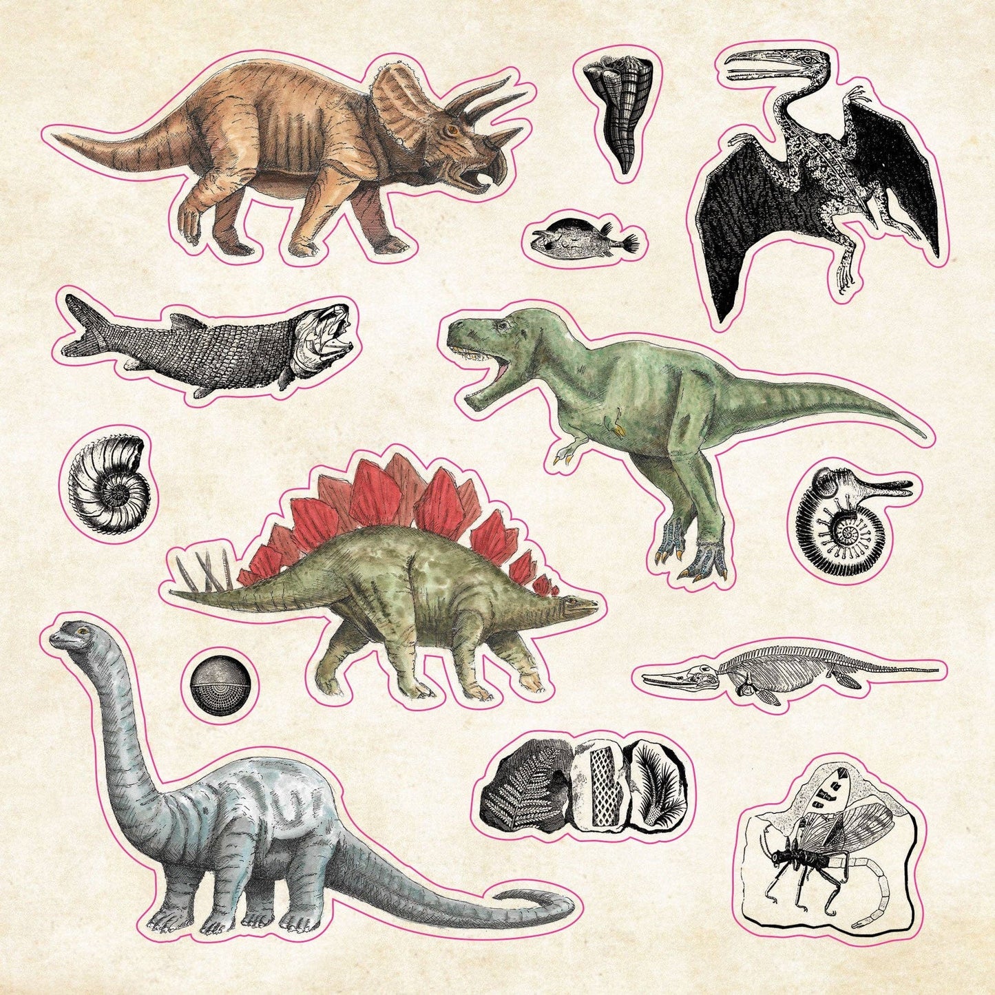The Sticker Book of Curiosities - The Regal Find