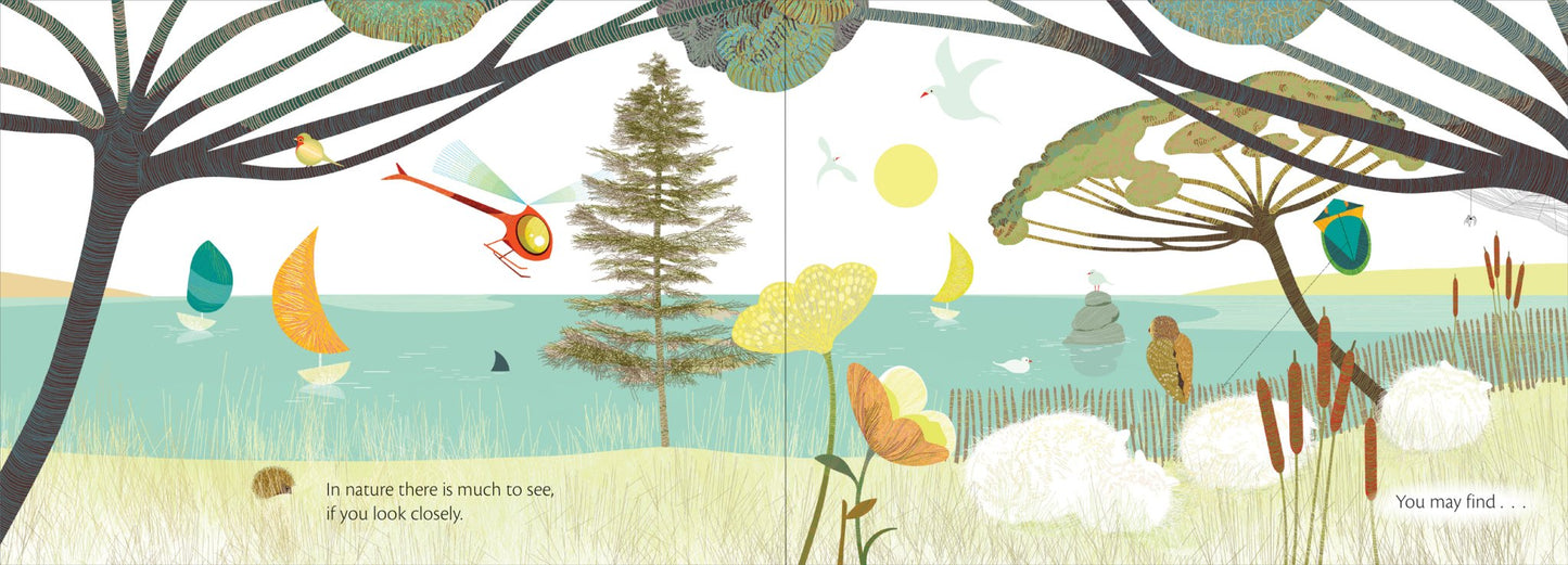 The Web - The Regal Find