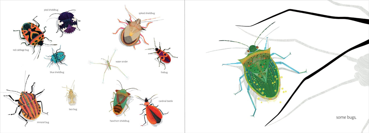The Web - The Regal Find