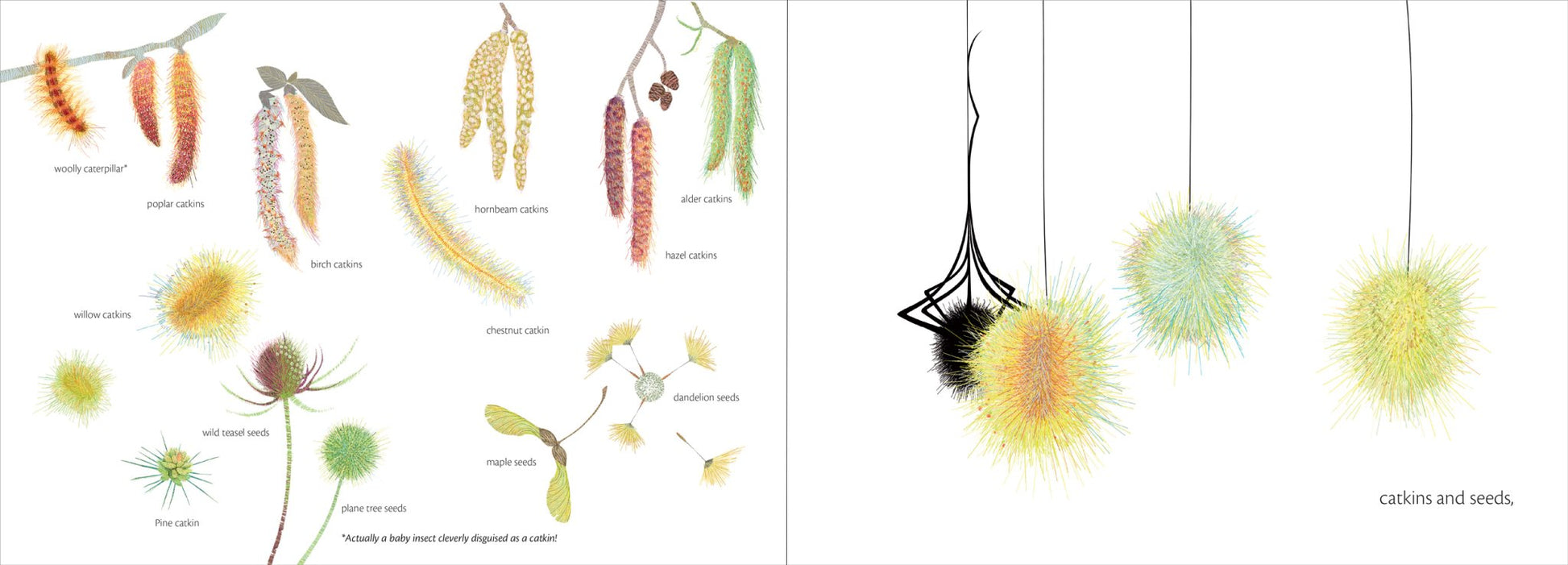 The Web - The Regal Find