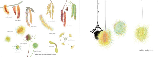 The Web - The Regal Find