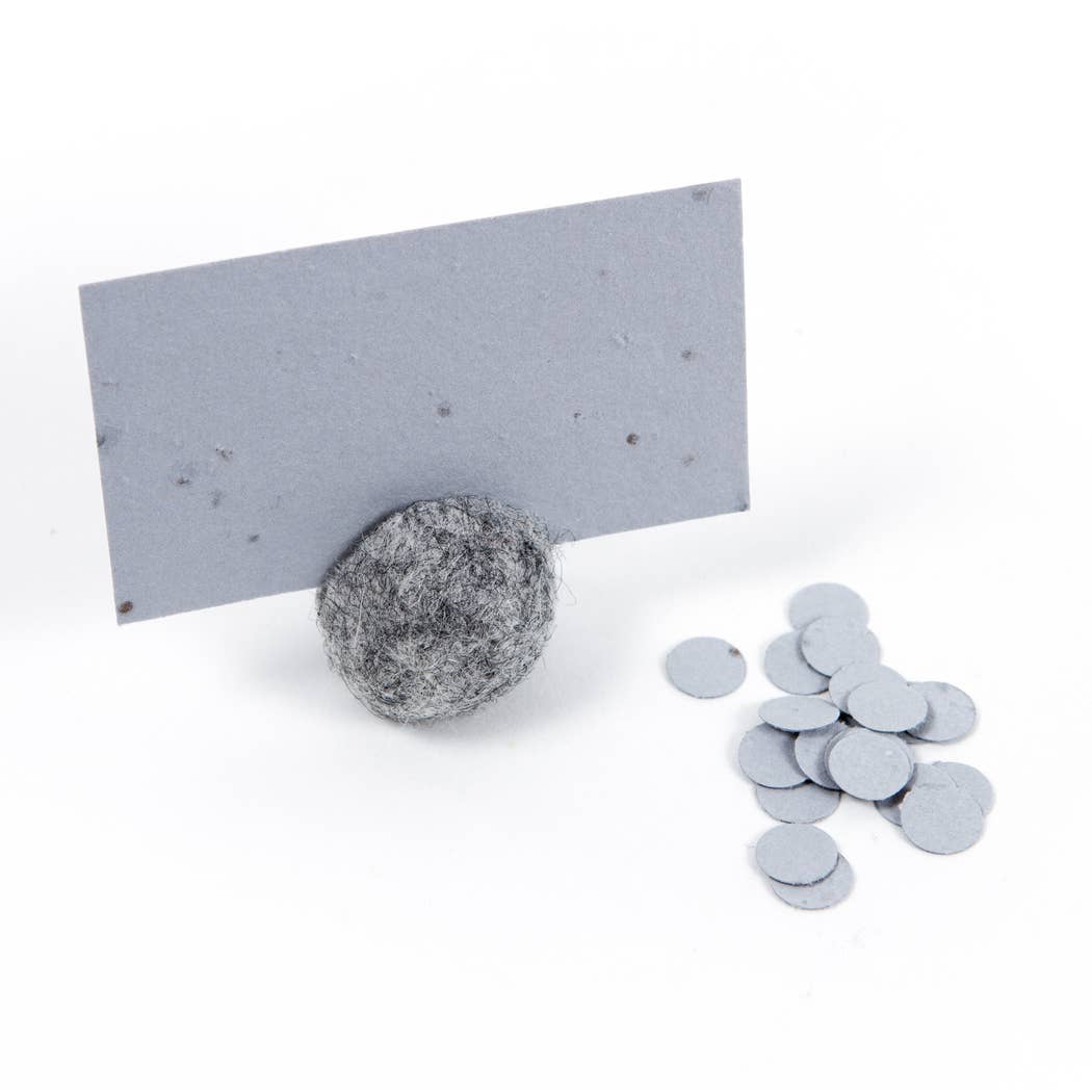 Wildflower Seed Cards: Coral - The Regal Find